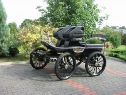 Black-Leon-wagon