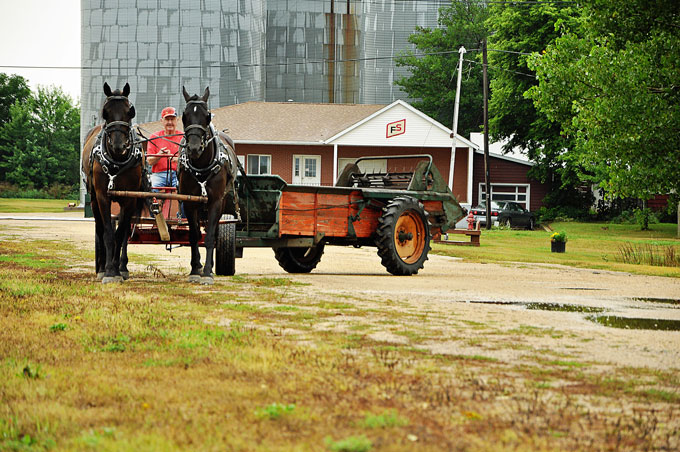 1DSC_4595a.jpg