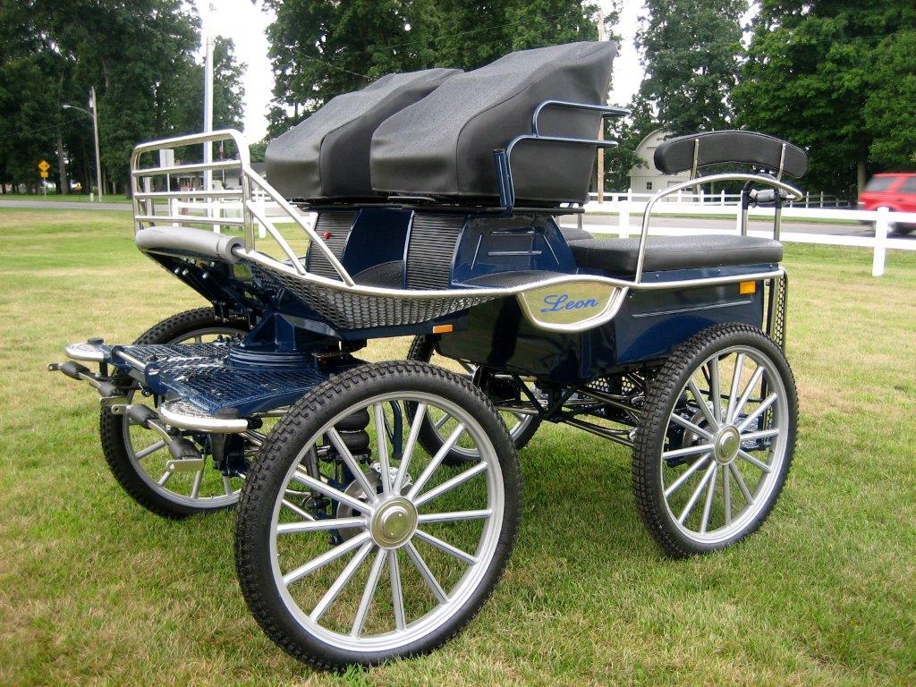 Blue Leon Silver Wheels